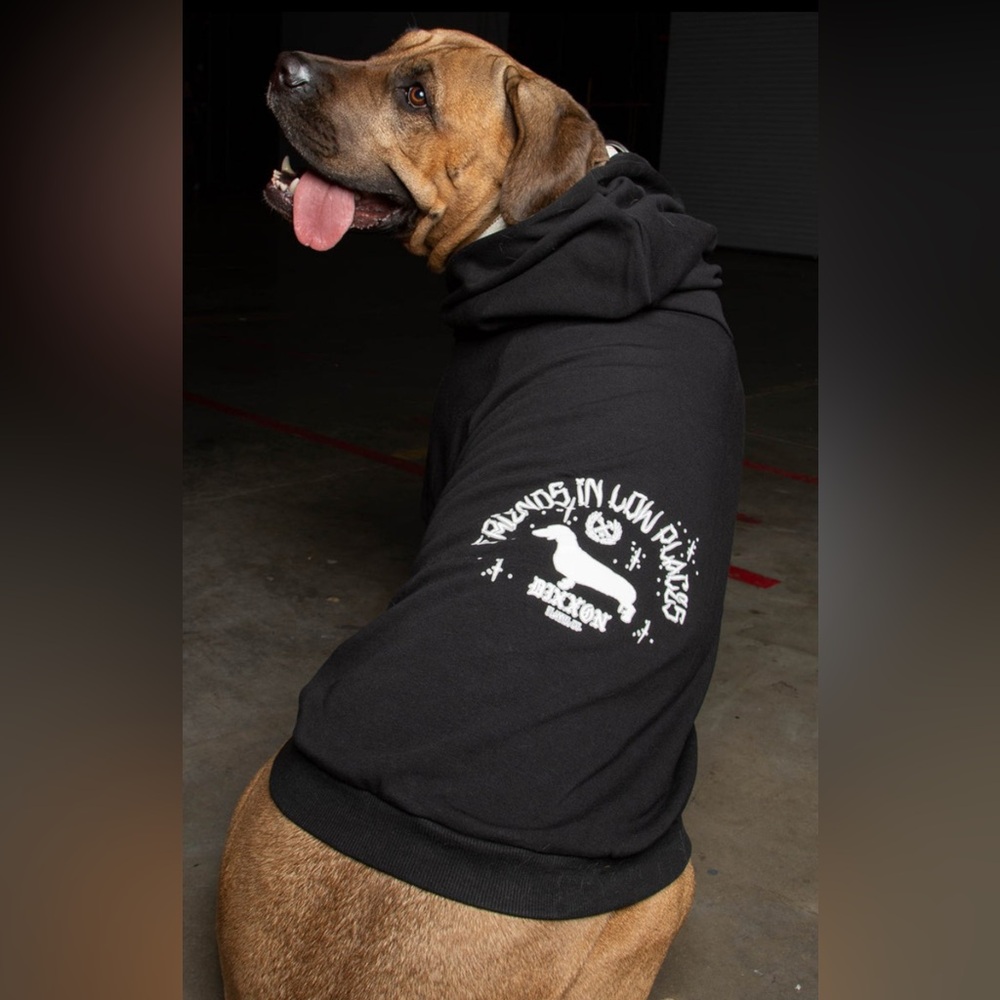 NWOT Dixxon size LRG dog hoody.